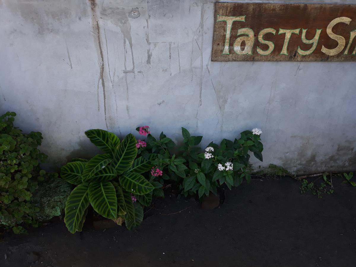 Mi Ranchito Bed and Breakfast Santa Cruz Exterior foto